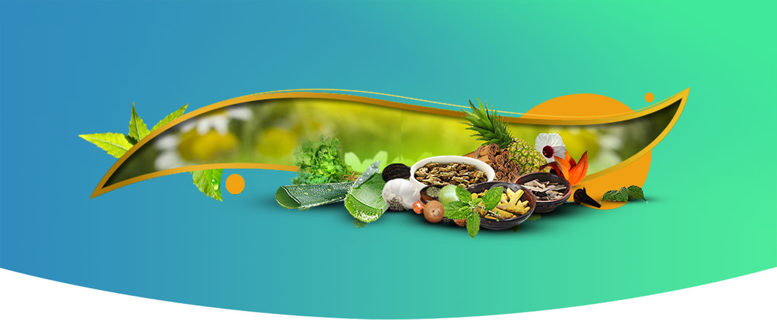 Gastroenterology