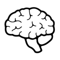 brain