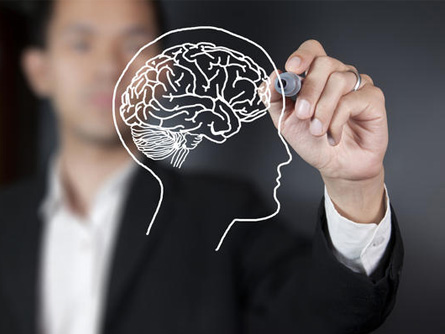 brain