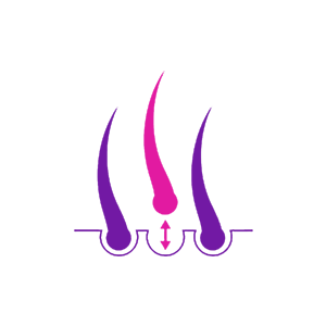 Cosmetic Studio