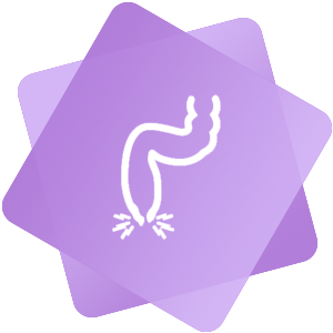 coloproctology