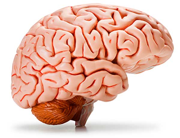 stroke