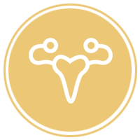GYNAECOLOGY