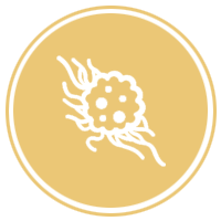 oncology