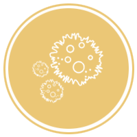 oncology