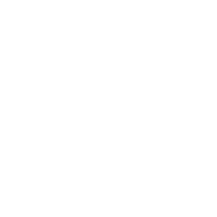 lower limb