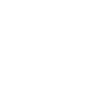 lower limb