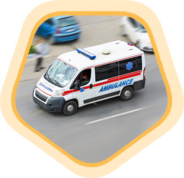 services