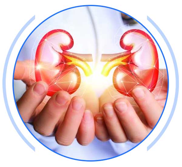 Kidney Transplant