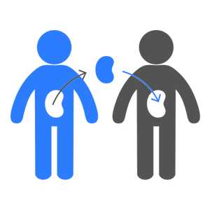 Transplant