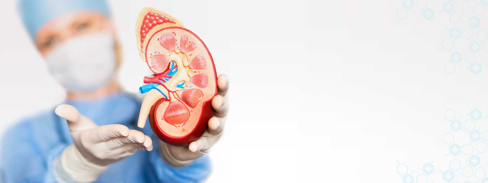 Oswal Urology