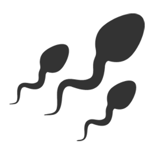 General Information