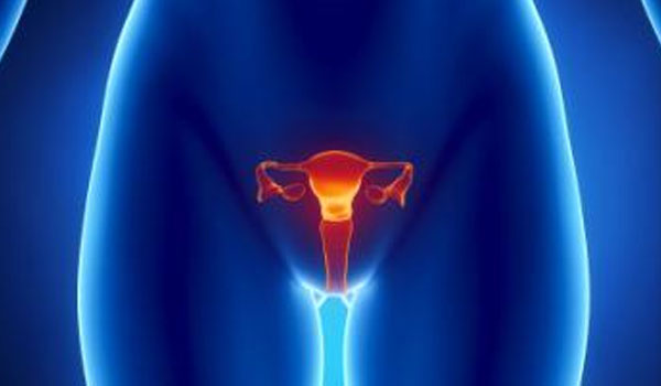 laparoscopy