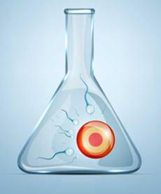 fertility