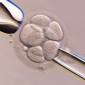 ivf