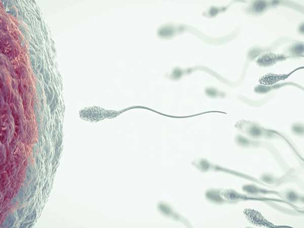 male infertility