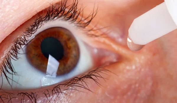 vitreo Retina