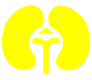 urology