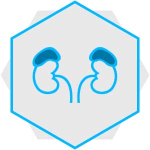 Uro-oncology