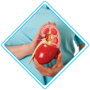 pediatric urology