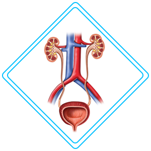 pediatric urology