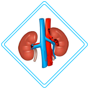 pediatric urology