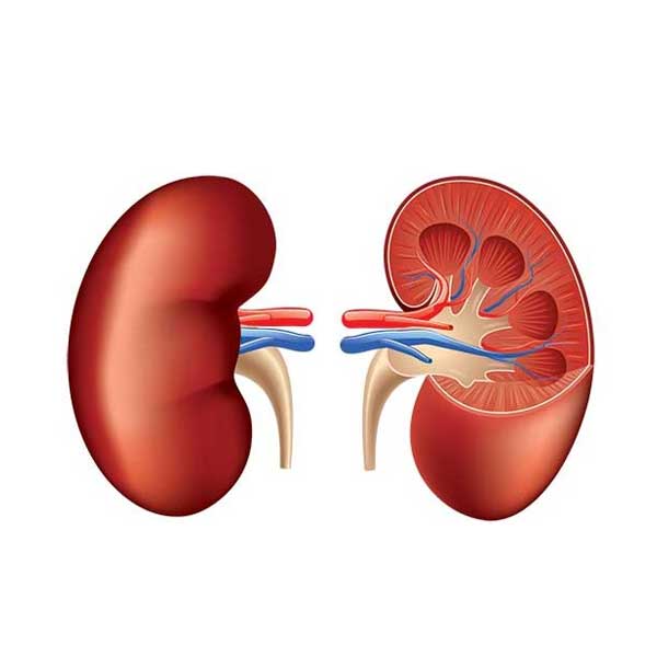urological